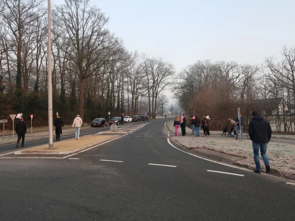 Carnavalszondag